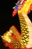 resIMG_20160330_194343_5805.JPG